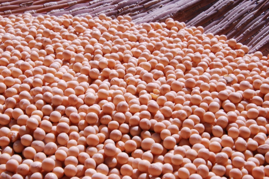 KE dopuściła na rynek UE trzy odmiany GMO; Fot. pixabay.com