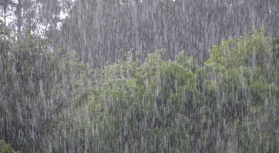 Ostrzeżenia o niebezpiecznych zjawiskach atmosferycznych Instytut Meteorologii i Gospodarki Wodnej wydał prawie dla wszystkich województw w kraju. Fot. Katarzyna Szulc IMiGW ostrzega przed burzami i gradem