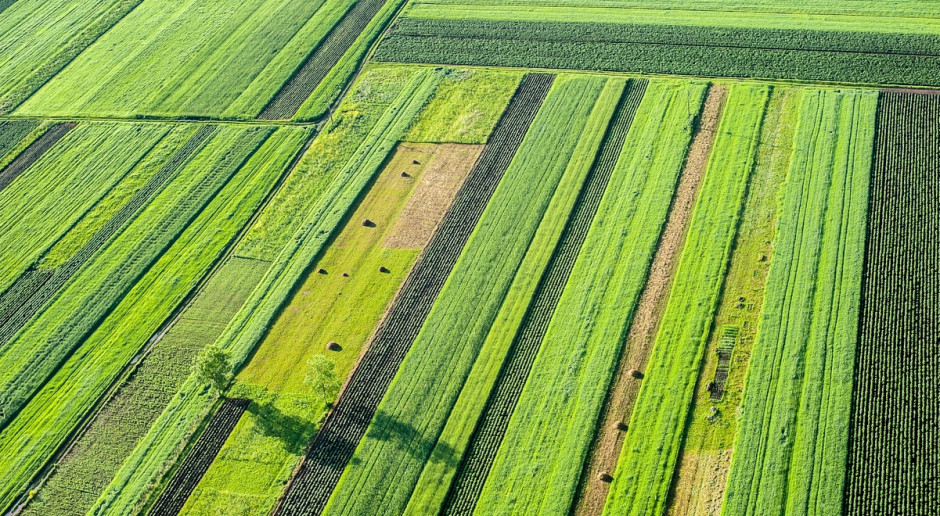 Fot. Shutterstock Będą uproszczenia WPR?