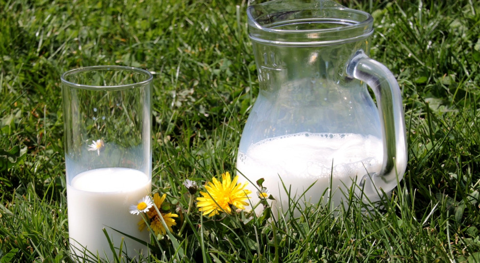 Mleko ze zwiększonym poziomem witaminy D może okazać się dobrą alternatywą dla suplementów diety; Fot. pixabay Promieniowane UV zwiększa poziom witaminy D w mleku