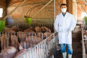 Niemcy redukują stosowanie antybiotyków u zwierząt