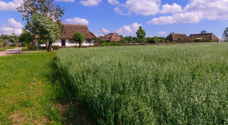 Żniwa zawsze zaczynano w sobotę, czyli w dzień poświęcony Matce Boskiej. Zboże żęto poświęconymi sierpami i kosami. Pierwsze ścięte z pól kłosy układano na kształt krzyża. Czas rozpoczęcia zbiorów nazywano zażynkami; Fot. Shutterstock Skansen wsi mazowieckiej w Sierpcu zaprasza na żniwa