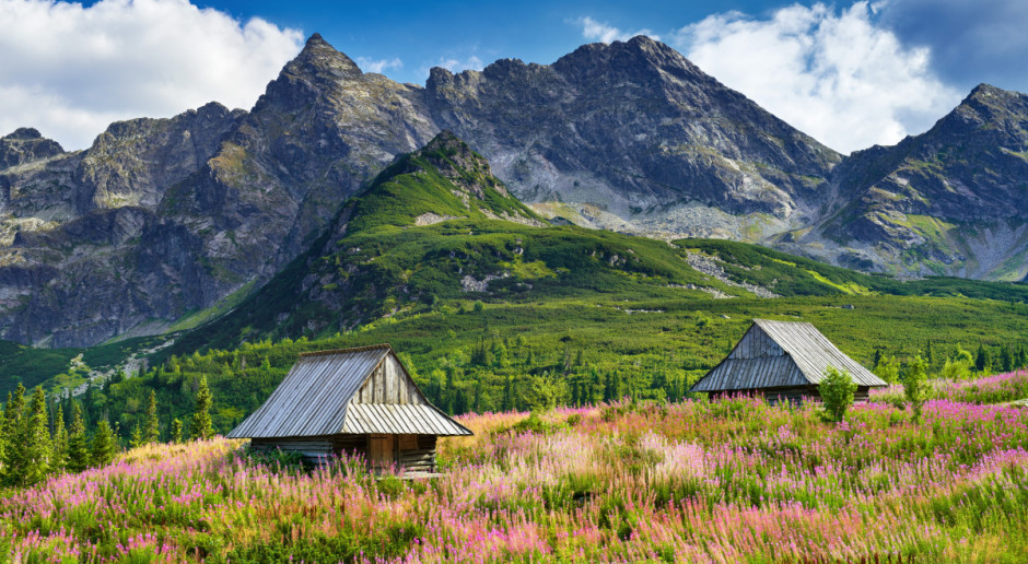 Fot. Shutterstock Giewont serem pachnący