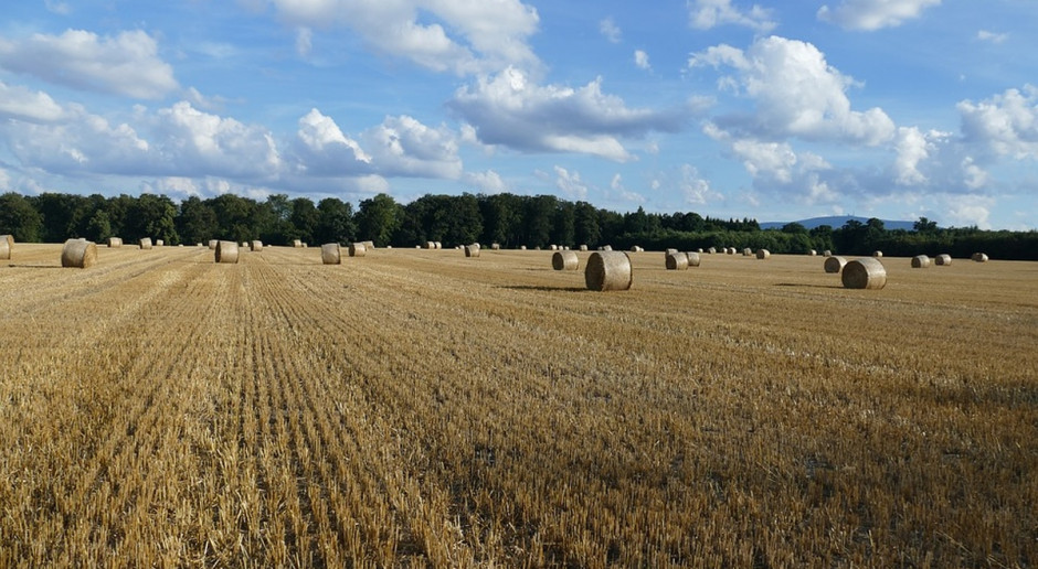 ANR rzadko korzysta z prawa pierwokupu; Fot. pixabay Co z oświadczaniem woli ANR o skorzystaniu z prawa pierwokupu lub wykupu?