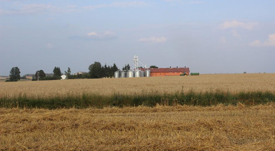Ceny zbóż stabilne