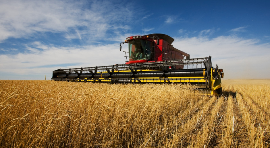 KE: Średni plon pszenicy miękkiej w UE w 2016 r. ma wynieść 5,86 t/ha; Fot. Fotolia KE: Prognozy plonów najważniejszych roślin uprawnych