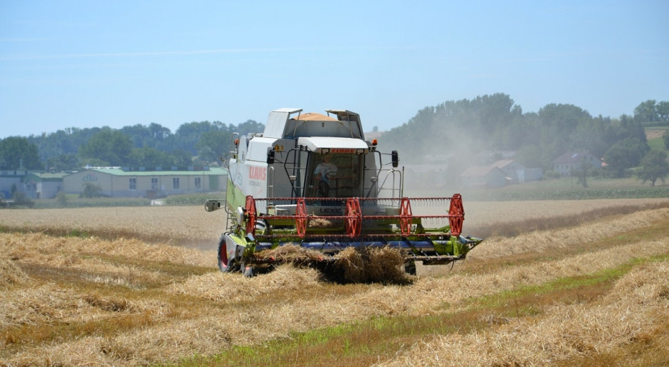 Prognoza zbiorów zbóż w Rosji w 2016 r. została podwyższona do około 118,5 mln ton; Fot.pixabay.com Rosja: Prognoza zbiorów zbóż podwyższona kolejny raz