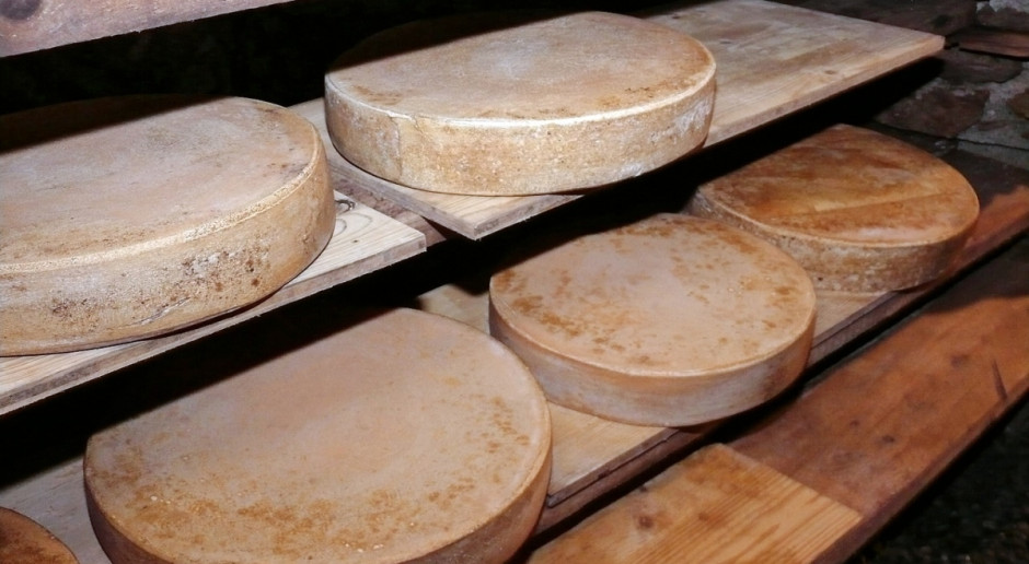 Amerykański rząd zamierza skupić sery od producentów za 20 mln dolarów Fot. pixabay.com USDA: Rząd zamierza skupować ser od producentów