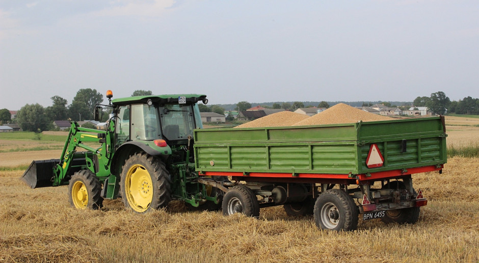 Maksymalna cena pszenicy konsumpcyjnej wynosi 640zł, a minimalna 500zł. Dla pszenicy paszowej ceny wynoszą odpowiednio 610 i 490zł; Fot. W.Denisiuk Ceny w skupach zbóż bez większych zmian