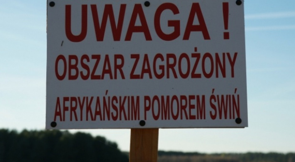 Obszar strefy I i III rozszerzono o tereny kolejnych gmin Fot. Farmer.pl Kolejne zmiany dotyczące stref ASF