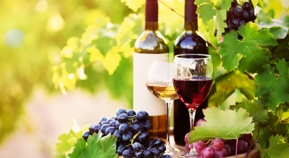 Międzynarodowy Konkurs Winiarski Vinoforum odbywa się w Polsce po raz drugi. Poprzednim razem 20. edycja konkursu gościła w Krynicy; Fot. Shutterstock Polskie wina zdobywają uznanie na świecie
