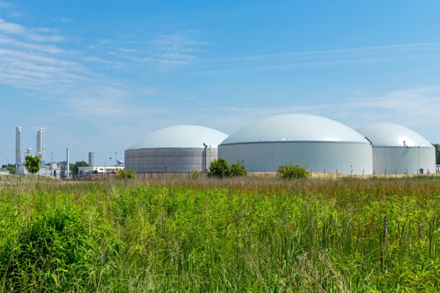 Zyska: Chcemy zwiększyć zużycie biogazu i biometanu oraz promować klastry energii