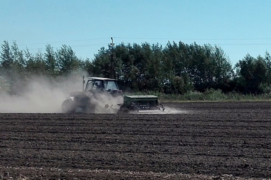 fot. farmer.pl