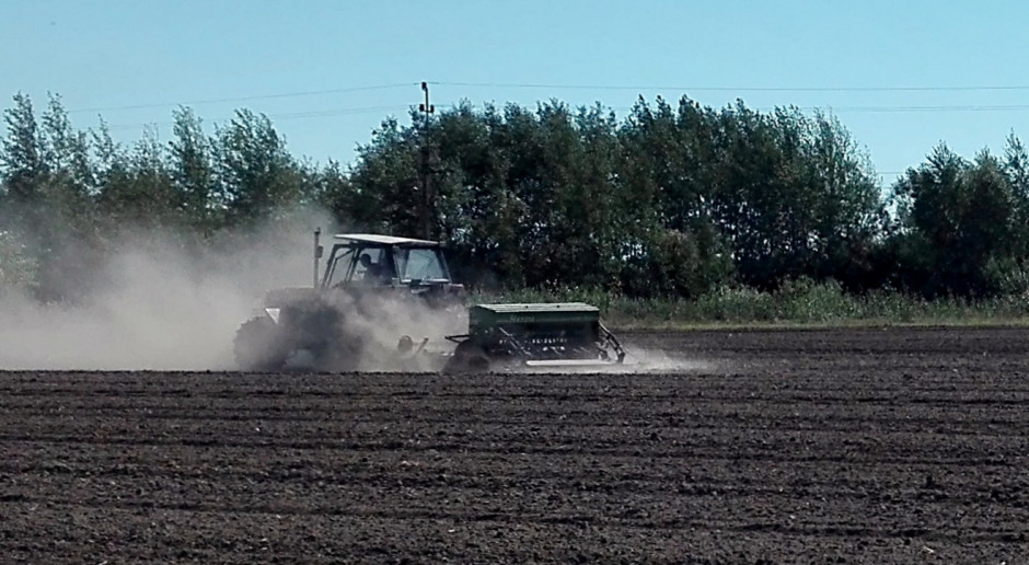 fot. farmer.pl Odmiany rzepaku polecane na 2020 r.