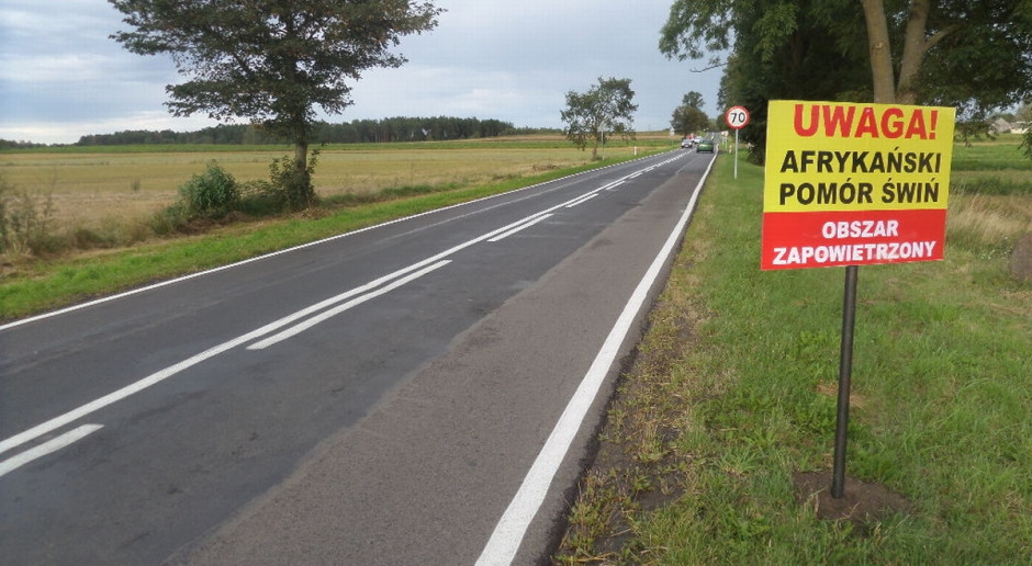 Fot. Shutterstock Senacka komisja: Bez poprawek do specustawy dotyczącej ASF