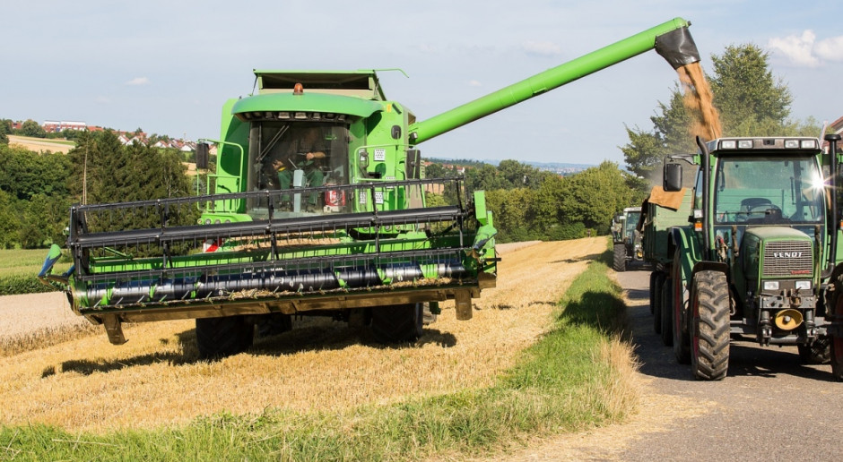 Prognoza FAO zakłada światową produkcję zbóż w sezonie 2016/2017 w wysokości 2,566 mld ton, czyli o 22 mln ton (Fot.pixabay.com) FAO: Prognoza dla światowego rynku zbóż