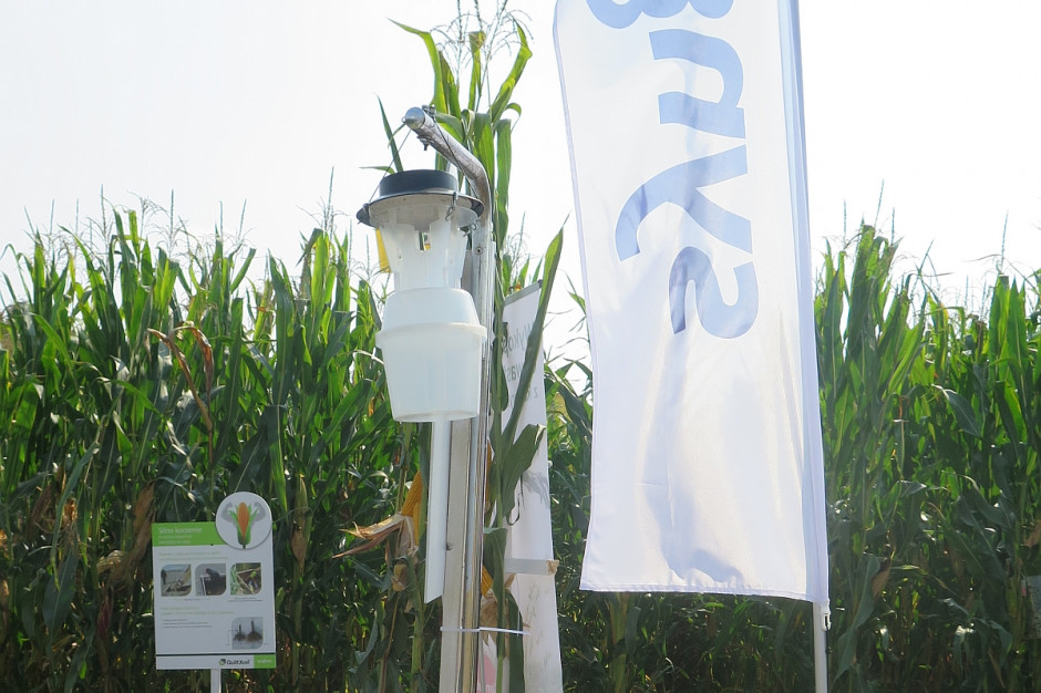 Firma Syngenta wprowadziła system sygnalizacji agrofagów na polach; Fot. J.Groszyk