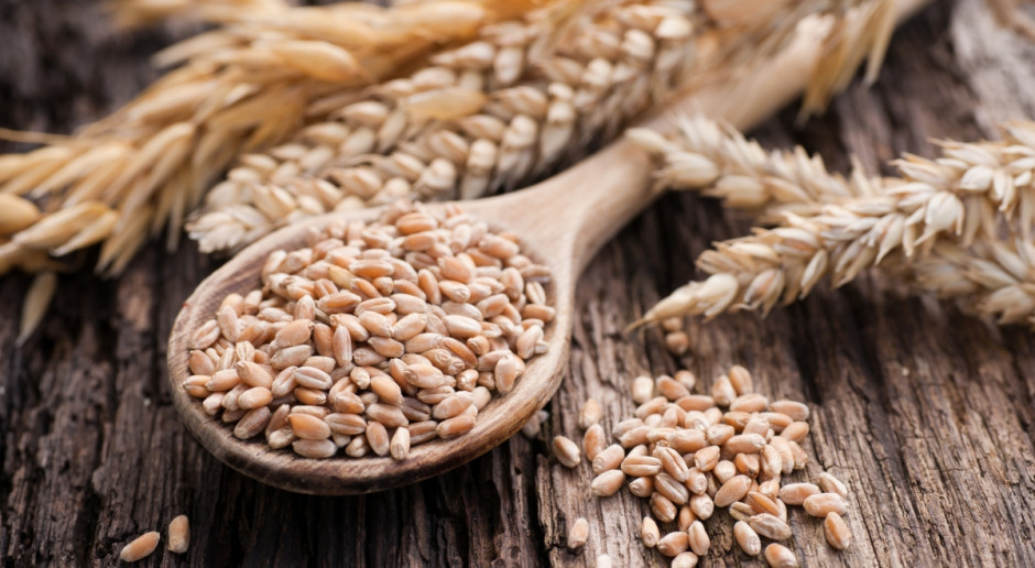 Fot. Shutterstock Cena amerykańskiej pszenicy mocno w górę po raporcie USDA