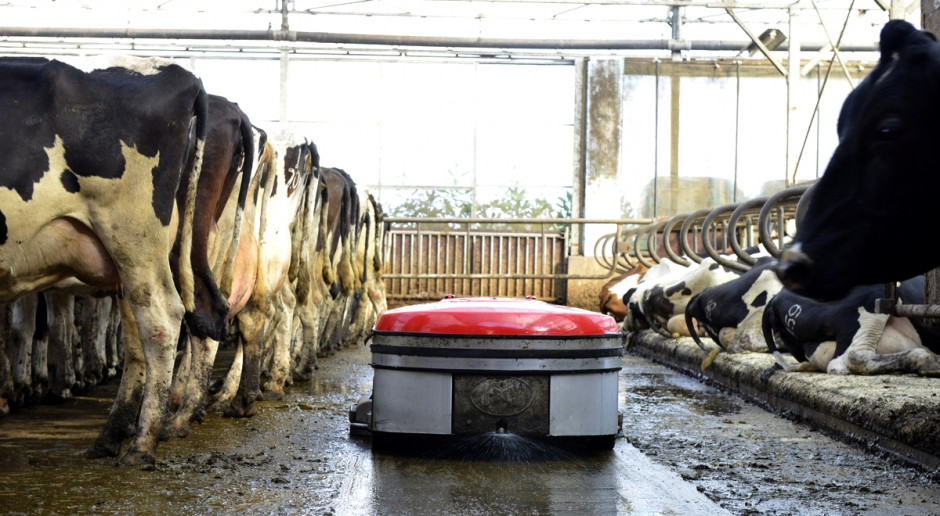 Robot do usuwania odchodów w oborach z pełnymi posadzkami zapewnia zapewnia stałą czystość podłóg w oborach, fot.Lely Lely wprowadza robota do usuwania odchodów w oborach z podłogami typu posadzka