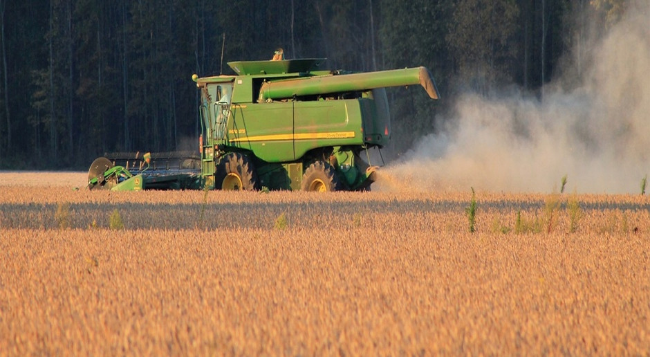 W porównaniu z sierpniową prognozą szacunki zbiorów soi w USA zostały podniesione o 3,8 mln ton do 114,3 mln ton; Fot. pixabay.com) USA: Lekki wzrost prognozy zbiorów soi