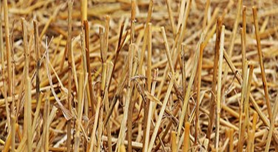 fot. pixabay Słoma jak lodówka?