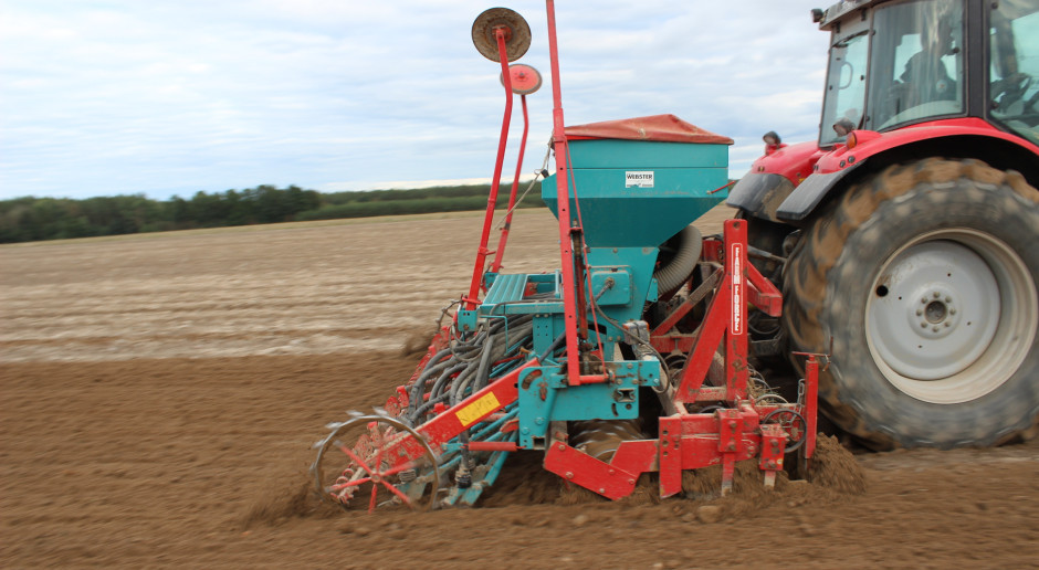 Optymalny termin siewu jest nienakładowym czynnikiem agrotechnicznym. Fot.W.Denisiuk Terminy siewu zbóż