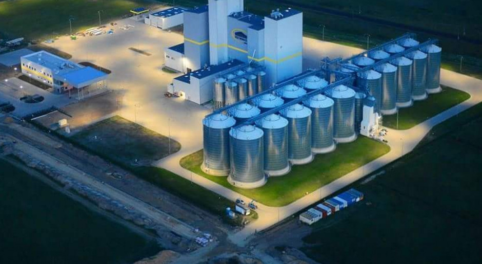W 2019 r. globalna produkcja pasz dla świń spadła o 11 proc.