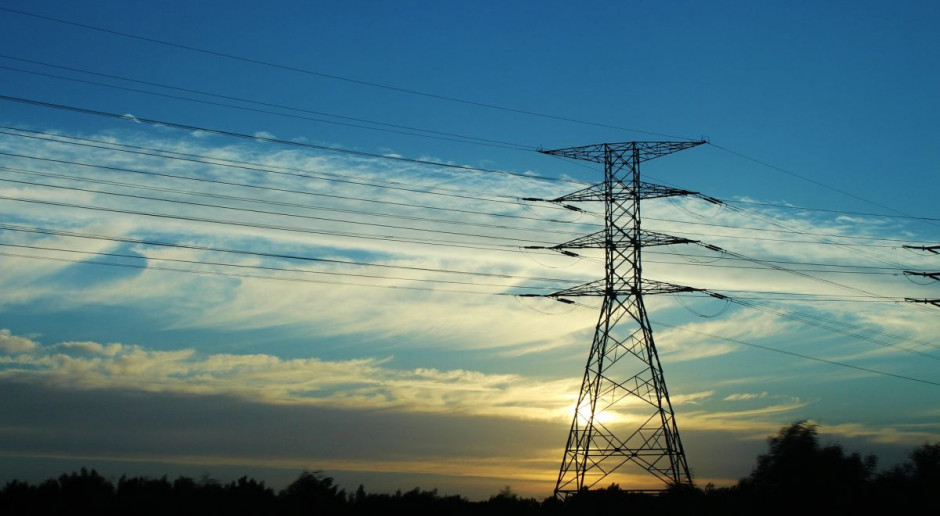 Dyrektywa w sprawie efektywności energetycznej powinna być wdrożona do prawa krajowego do 5 czerwca 2014 roku; Fot. pixabay.com KE wzywa Polskę do pełnego wdrożenia dyrektywy o efektywności energetycznej