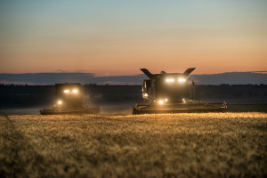 Sovecon po raz kolejny podniósł prognozę plonów zbóż w Rosji w 2022 r.