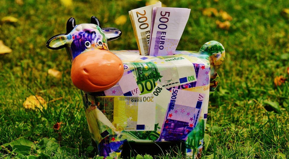 Płatności przeliczono po kursie 4,3192 zł za 1 EUR – czyli po kursie z ostatniego dnia września, mniej korzystnym dla rolników, niż kurs z całego miesiąca. Fot. pixabay Jakie stawki dopłat w 2016 w porównaniu do 2015 roku?