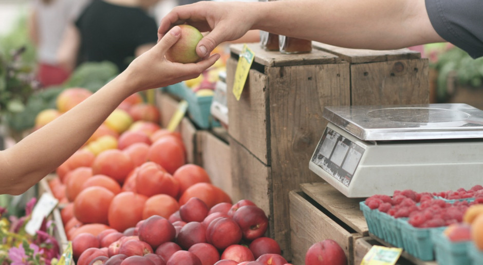 Fot: Pexels CETA coraz bliżej. Umowa z Kanadą ułatwi import taniego mięsa