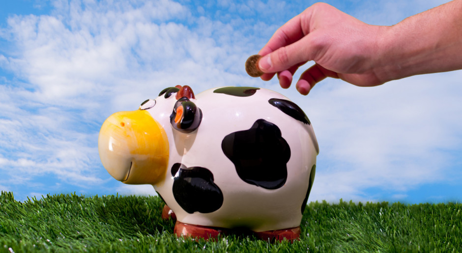 EFIS oparty jest o system gwarancji, który ma pozwolić na realizację w całej UE inwestycji o wartości 315 mld euro; Fot. Shutterstock Mlekovita wśród projektów, które otrzymały wsparcie z EFIS