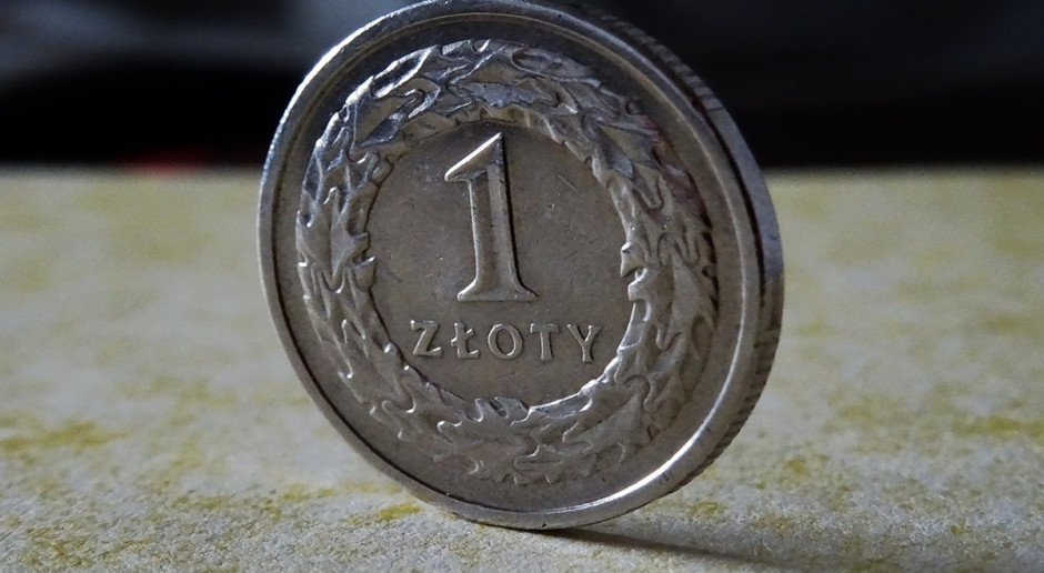 fot. pixabay Jak GUS ustala przeciętny dochód z hektara w rolnictwie?
