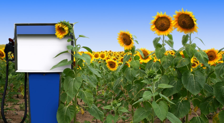 Copa i Cogeca sprzeciwiają się wycofaniu konwencjonalnych biopaliw po 2020 r. (Fot.Fotolia) Copa i Cogeca przeciw wycofaniu konwencjonalnych biopaliw
