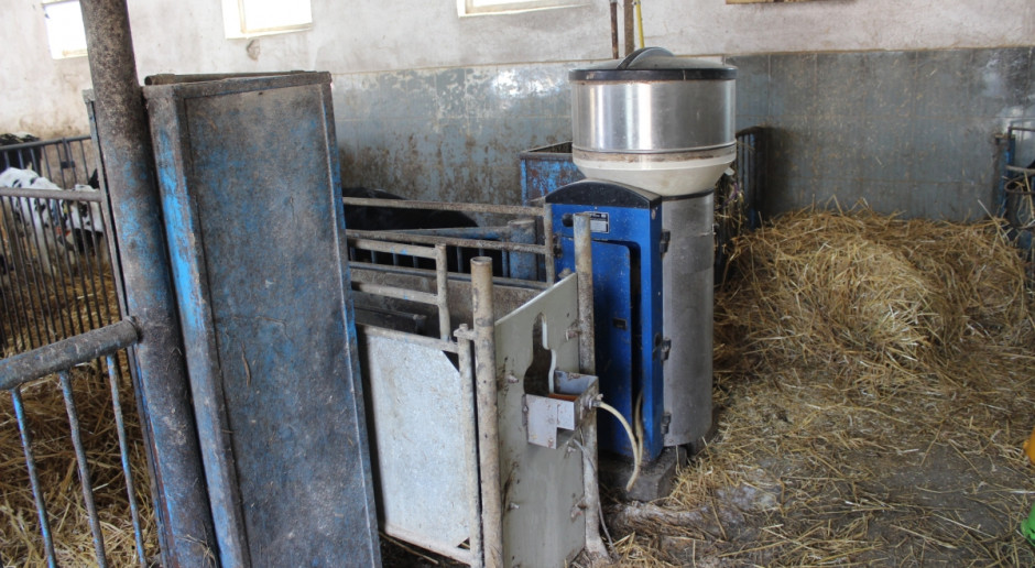 Krovital to seria preparatów mlekozastępczych stworzona przez młodą polską firmę Provender fot. Ł. Głuchowski Krovital – nowa marka preparatów mlekozastępczych dla cieląt