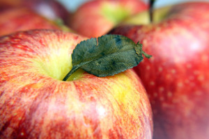 Białystok: Naklejki na jabłkach przypominają o profilaktyce raka