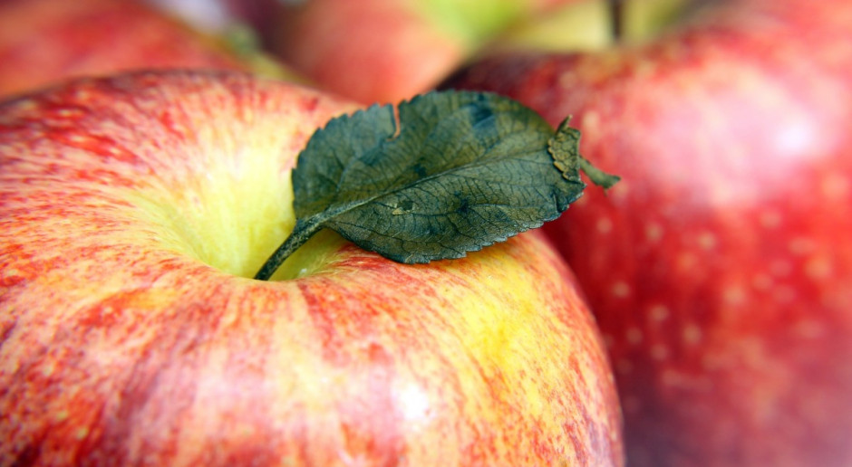 Październik jest miesiącem, w którym przypomina się o profilaktyce walki z rakiem; Fot. pixabay Białystok: Naklejki na jabłkach przypominają o profilaktyce raka