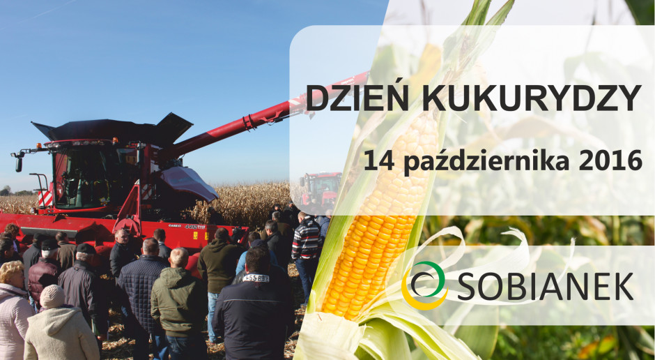 Dzień Kukurydzy firmy SOBIANEK za nami