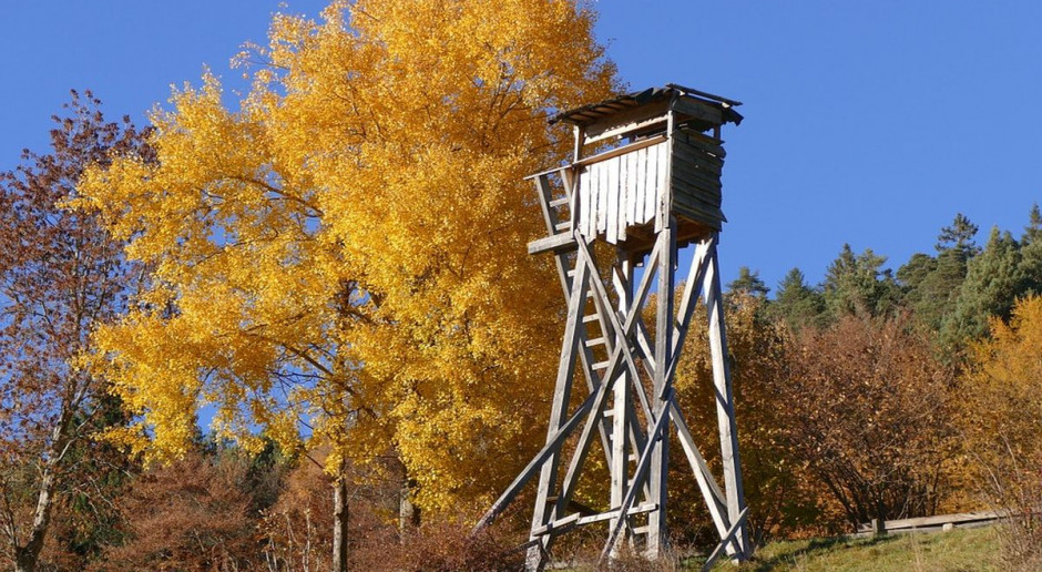 Nie ma kto obiektywnie szacować szkód; fot. pixabay Dlaczego nie ruszy Fundusz Odszkodowawczy i szacowanie szkód przez wojewodów?