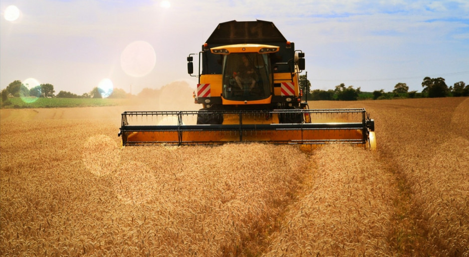 W Kazachstanie w 2016 r. zbiory pszenicy dały 23,6 mln ton ziarna (Fot.pixabay.com) Większe zbiory pszenicy w Kazachstanie