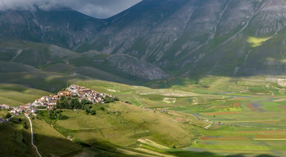 Soczewica z Castelluccio, posiadająca unijny certyfikat chronionego oznaczenia geograficznego, uprawiana jest na polach wokół małego miasteczka w Apeninach, które do niedzielnego wstrząsu o sile 6,5 liczyło 120 mieszkańców. Prawie wszyscy musieli je opuścić, bo ich domy legły w gruzach. , fot. Shutterstock Trzęsienie ziemi oszczędziło kulinarny skarb Umbrii - soczewicę