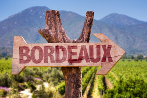 Czy francuskie winnice będą karczowane? Resort rolnictwa ma pomysł na nadprodukcję wina