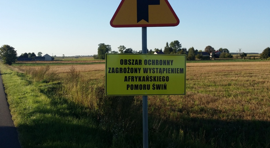 W woj. lubelskim 14 tys. świń czeka na ubój; fot. Karol Hołownia 14 tys. świń do uboju zgłosili rolnicy w woj. lubelskim
