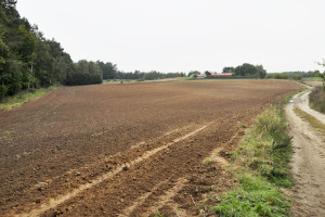 Ukraina: Politycy „kradną” 5 milionów hektarów ziemi