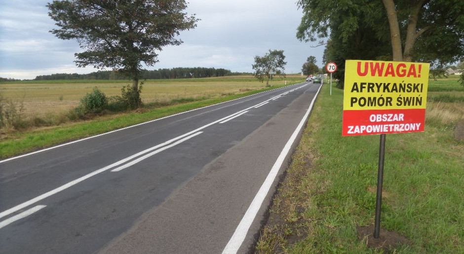 Główny Lekarz Weterynarii w chwili obecnej nie posiada informacji o liczbie gospodarstw, w przypadku których zastosowano powyższe rozwiązanie; Fot. A.Królak MRiRW nie wie, ile świń zutylizowano z powodu przerośnięcia