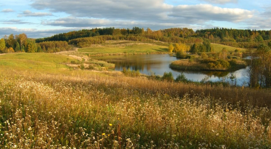 Fot. Shutterstock Podlaskie: 17 mln zł z UE dla firm z gmin z obszarów Natura 2000