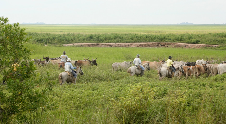 Fot. Shutterstock Wenezuela zawieszona w Mercosur za nieprzestrzeganie zasad