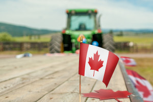 Czy polscy rolnicy podbiją Kanadę? Nasz eksport rośnie, ale CETA jest zagrożeniem