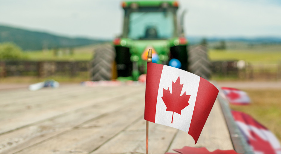 Czy polscy rolnicy podbiją Kanadę? Nasz eksport rośnie, ale CETA jest zagrożeniem
