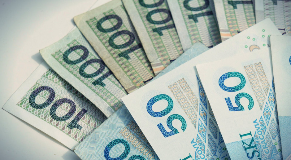 Na wsiach kłopoty ze spłatą zadłużenia ma 1,5 mln osób. Fot: Pixabay W ciągu roku podwoiła się liczba dłużników na wsiach